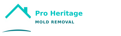 Pro Heritage Mold Removal